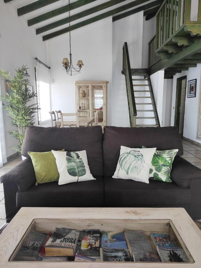 Cercado Del Medio, Con Piscina Privada Villa